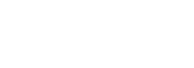 vseth logo